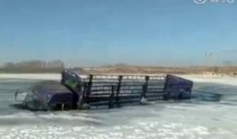 榆树最新爆料,揭秘背后惊人真相