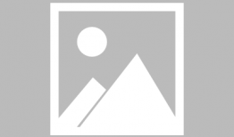 创造与魔法最新版本爆料